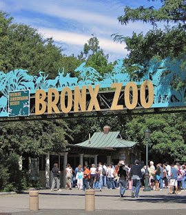 Bronx Zoo